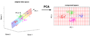 Dimensionality Reduction using Principal Component Analysis pca
