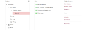 Pentaho+ Data Services Made Easy 9