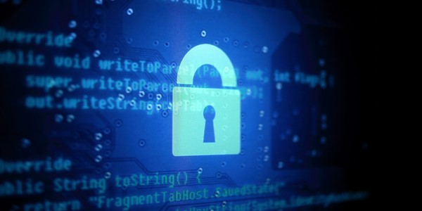 LF-security-1