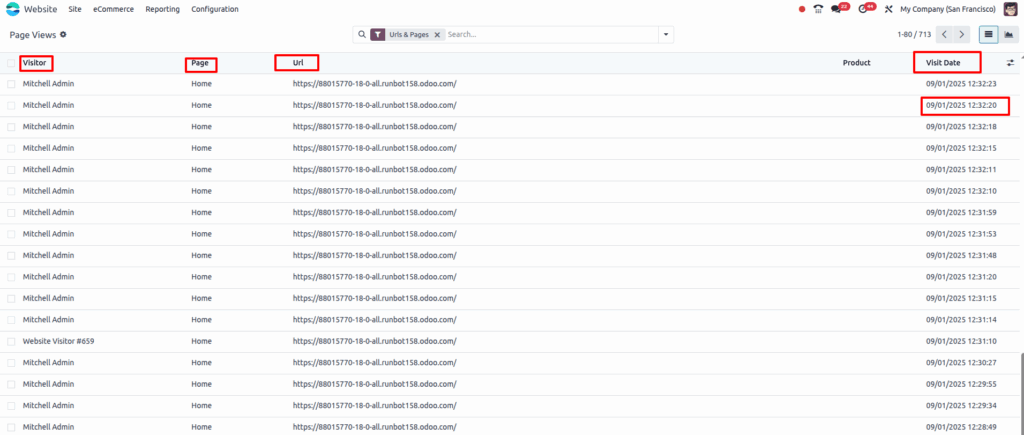 odoo website Page-Views