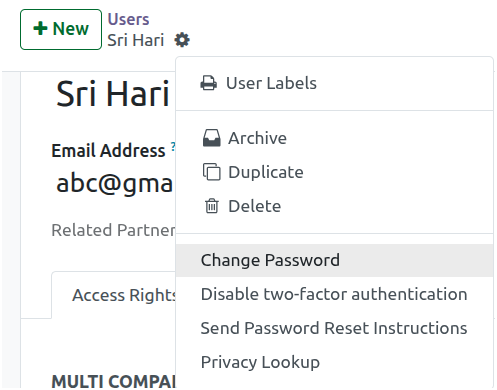 Odoo Settings Users Change Password